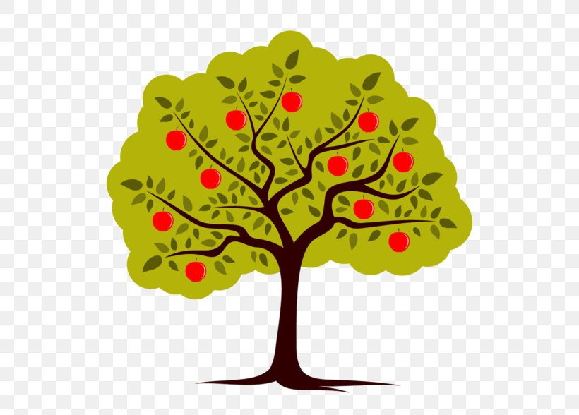 Apple Drawing Clip Art, PNG, 600x588px, Apple, Art, Branch, Cottage Garden, Drawing Download Free
