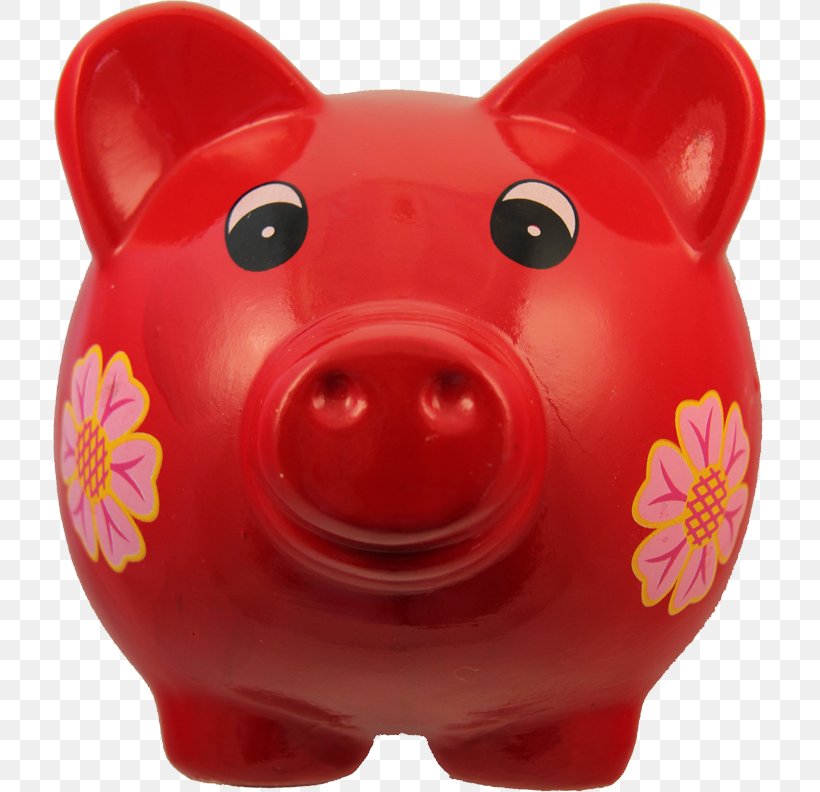 Craig Lapsley Piggy Bank Morwell Neighbourhood House Location And Learning Center Emergency Management Victoria, PNG, 713x792px, Pig, Bank, Coin, Commissioner, Donation Download Free