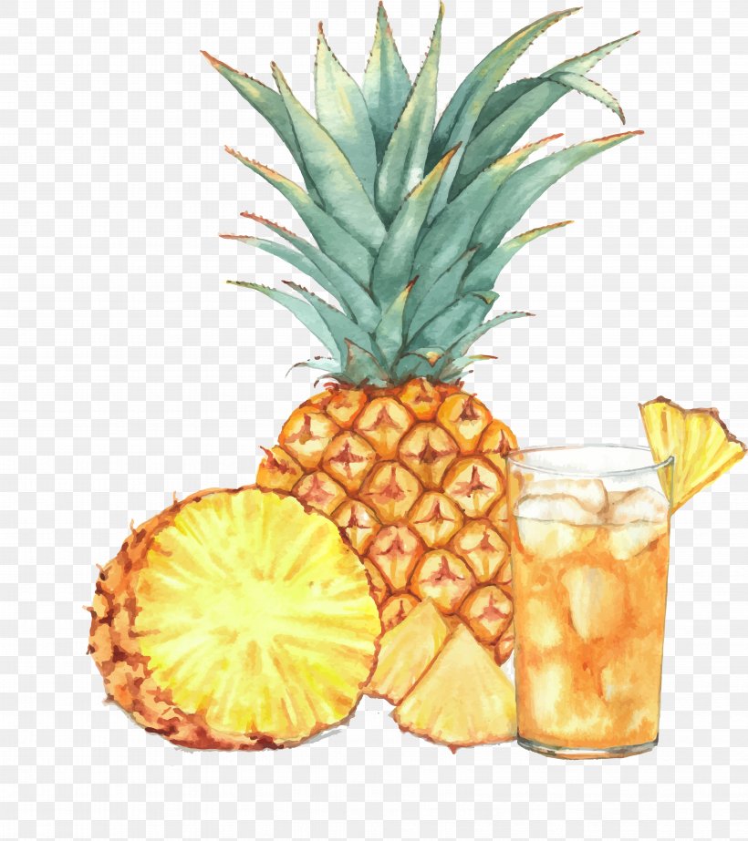 Juice Cocktail Pineapple Drawing, PNG, 6699x7542px, Juice, Ananas, Art, Bromeliaceae, Cocktail Download Free