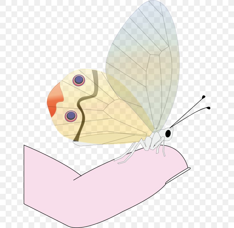 Butterfly Drawing Clip Art, PNG, 654x800px, Butterfly, Art, Butterflies And Moths, Drawing, Fictional Character Download Free