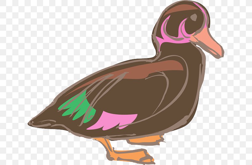 Domestic Duck Bird Chicken Poultry, PNG, 640x537px, Duck, Anatidae, Animal, Beak, Bird Download Free