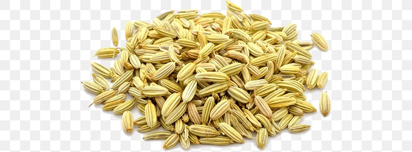 Fennel Sugar Plum Dried Fruit Herb Anise, PNG, 500x303px, Fennel, Anise, Avena, Cardamom, Cereal Download Free