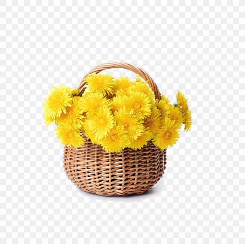 Flower Basket Stock Photography Chrysanthemum Floristry, PNG, 2362x2362px, Flower, Artificial Flower, Basket, Chrysanthemum, Chrysanths Download Free