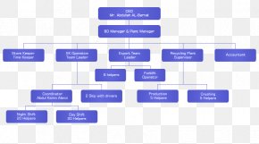 Organizational Structure DHL EXPRESS Organizational Chart Company, PNG ...