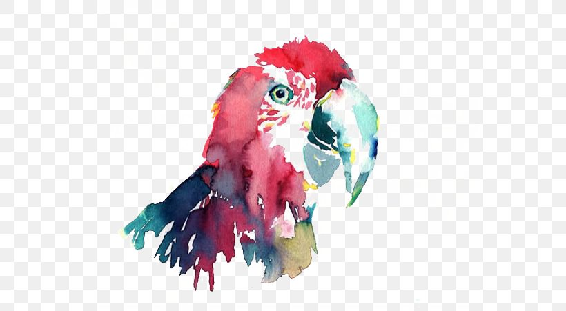 Parrot Bird Macaw Watercolor Painting, PNG, 564x451px, Parrot, Art, Beak, Bird, Color Download Free