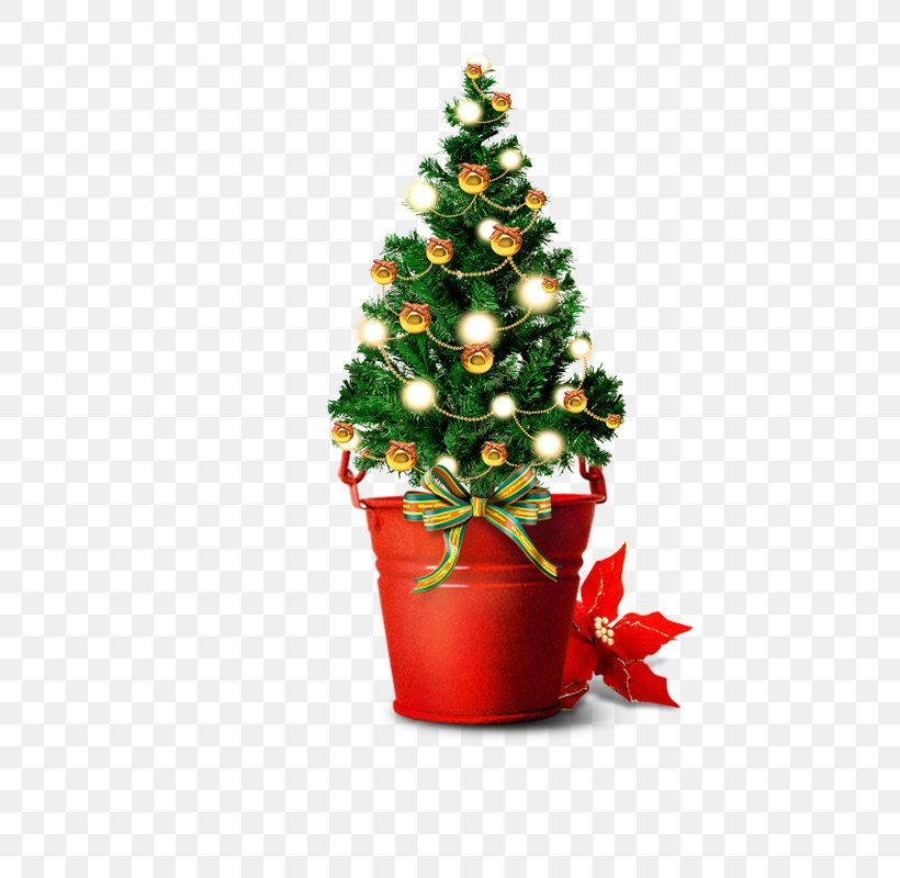 Santa Claus Christmas Tree Christmas Gift, PNG, 800x800px, Santa Claus, Artificial Christmas Tree, Balsam Hill, Christmas, Christmas Decoration Download Free