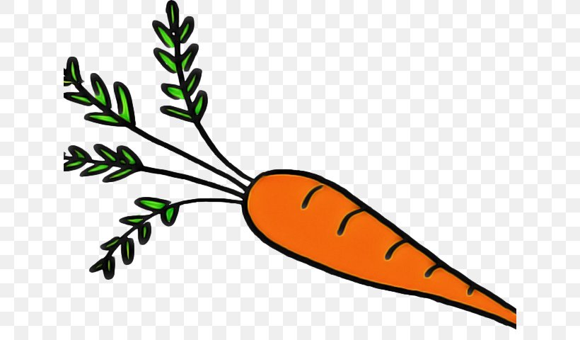 Carrot Cartoon, PNG, 640x480px, Leaf, Carrot, Food, Meter, Plant Download Free