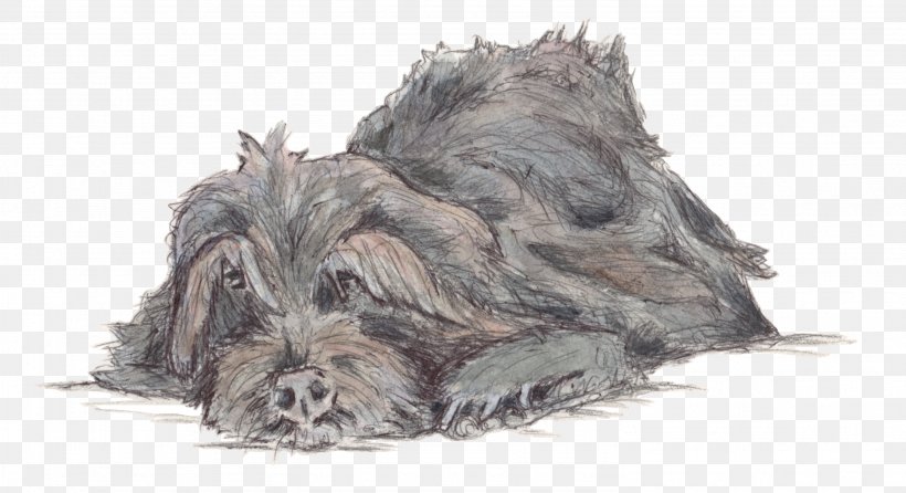 Miniature Schnauzer Scottish Terrier Cairn Terrier Cesky Terrier Scottish Deerhound, PNG, 2978x1623px, Miniature Schnauzer, Breed, Cairn Terrier, Carnivoran, Cesky Terrier Download Free