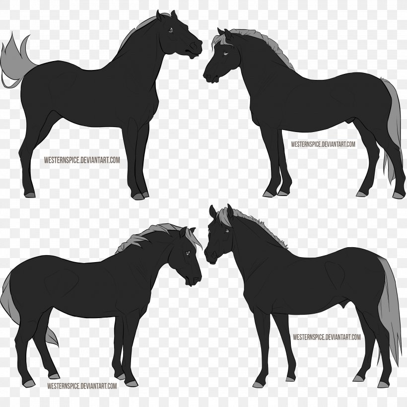 Mustang Arabian Horse Foal Pony Dog, PNG, 3000x3000px, Mustang, Arabian Horse, Black And White, Bridle, Colt Download Free