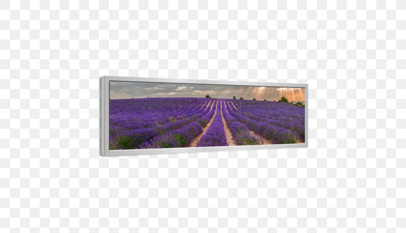 Painting Canvas Rectangle Lavender, PNG, 628x471px, Painting, Canvas, Centimeter, Lavender, Purple Download Free