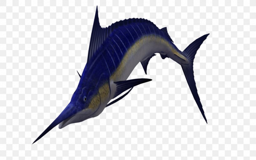 Sailfish Atlantic Blue Marlin Clip Art, PNG, 1024x639px, 3d Computer Graphics, Sailfish, Atlantic Blue Marlin, Billfish, Bony Fish Download Free