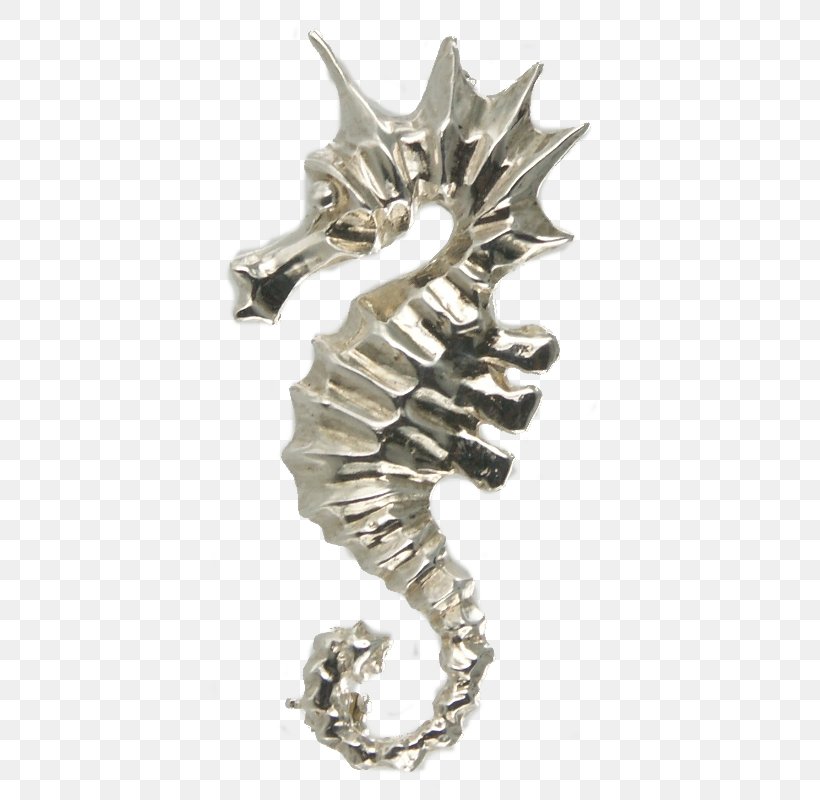 Seahorse Brooch Silver Jewellery Metal, PNG, 800x800px, Seahorse, Bijou, Body Jewellery, Body Jewelry, Brooch Download Free