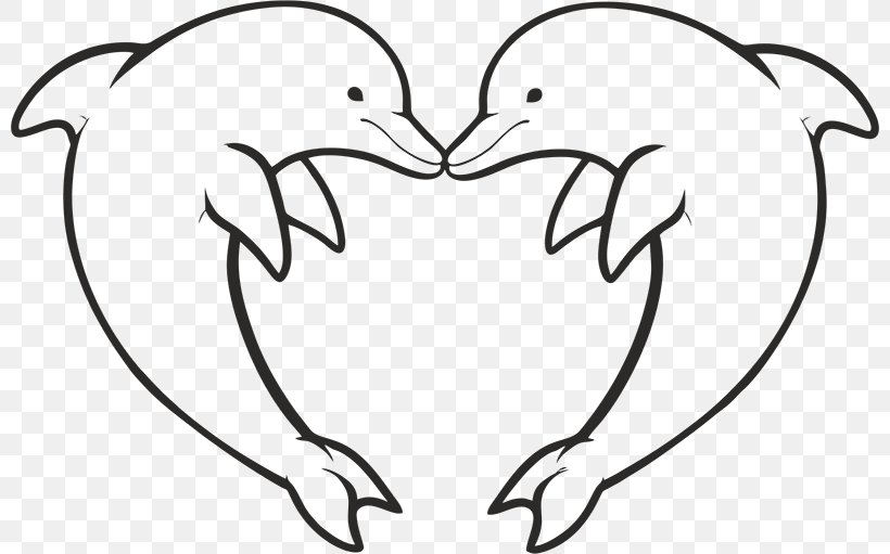 Coloring Book Colouring Pages Dolphin Zentangle Cetacea, PNG, 800x511px, Watercolor, Cartoon, Flower, Frame, Heart Download Free