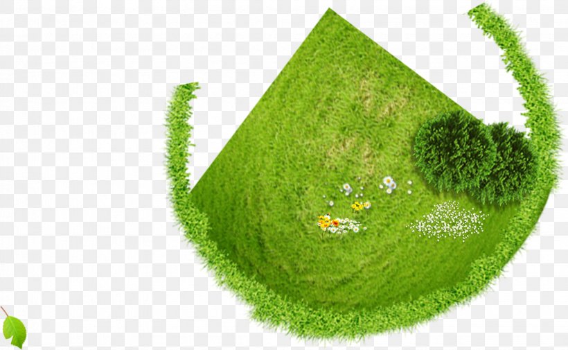 Download, PNG, 1952x1204px, Gratis, Gift, Grass, Grass Family, Green Download Free