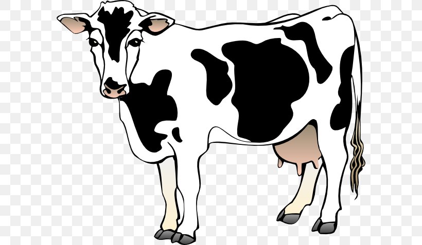 Jersey Cattle Guernsey Cattle Angus Cattle Clip Art, PNG, 600x477px, Jersey Cattle, Angus Cattle, Bull, Calf, Cattle Download Free