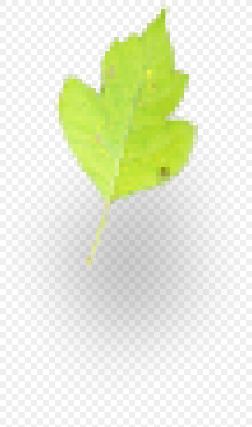 Leaf Desktop Wallpaper Computer Plant Stem Wallpaper, PNG, 800x1388px, Leaf, Computer, Green, Plant, Plant Stem Download Free