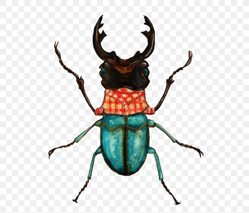 Textile Beetles Artist Weevil Japanese Rhinoceros Beetle, PNG, 600x702px, Textile, Artist, Beetles, Clothing, Insect Download Free