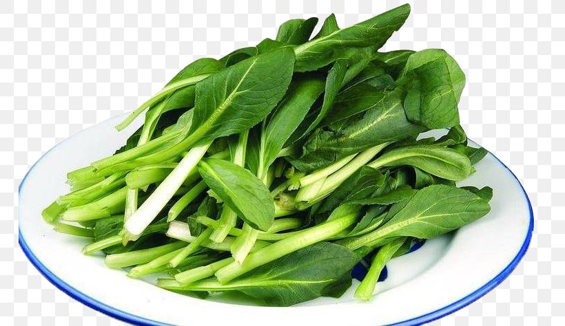 Vegetable Bok Choy Food Chinese Cabbage, PNG, 765x474px, Vegetable, Amino Acid, Bitterness, Bok Choy, Carbohydrate Download Free