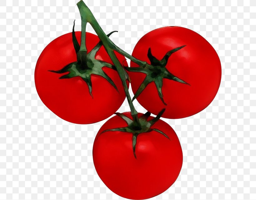 Christmas Ornament, PNG, 600x641px, Watercolor, Cherry Tomatoes, Christmas Ornament, Fruit, Leaf Download Free