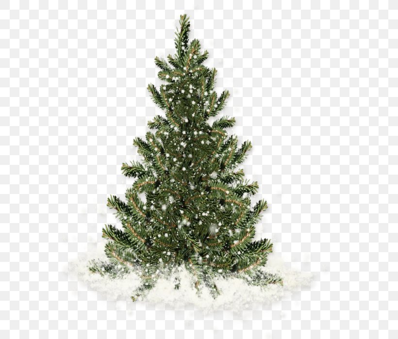 Christmas Tree Christmas Ornament Santa Claus Fir, PNG, 577x699px, Christmas Tree, Artificial Christmas Tree, Branch, Candle, Christmas Download Free