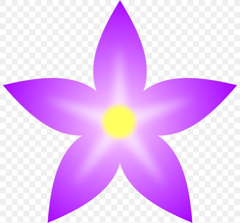 Flower Petal Clip Art, PNG, 800x762px, Flower, Computer Software, Floral Symmetry, Flowering Plant, Lilac Download Free