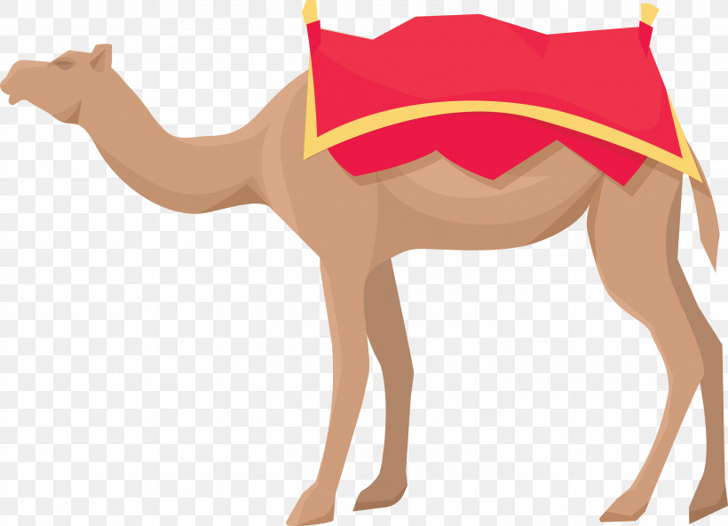 Arab Symbol, PNG, 3000x2167px, Arab Symbol, Biology, Camels, Dog, Dromedary Download Free