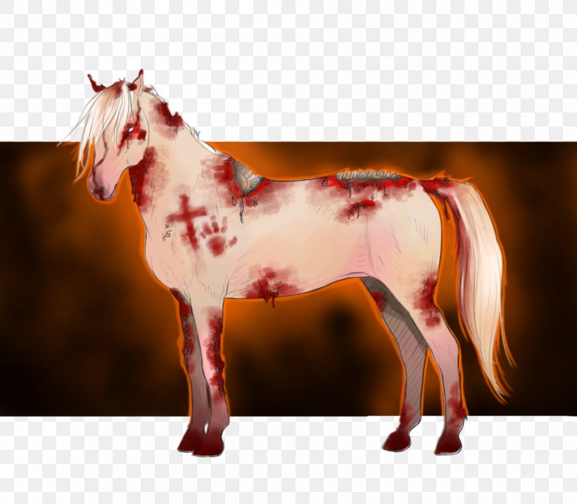 Mustang Stallion Pony Halter Desktop Wallpaper, PNG, 955x836px, Mustang, Computer, Halter, Horse, Horse Like Mammal Download Free