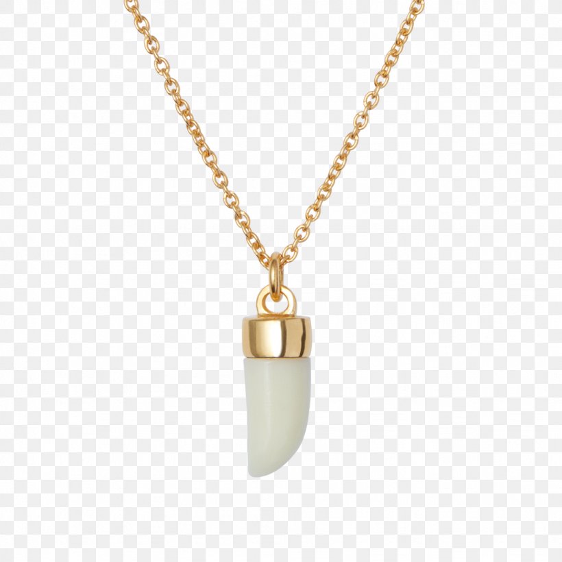 Charms & Pendants Jewellery Necklace Carat Gold, PNG, 1024x1024px, Charms Pendants, Carat, Chain, Charm Bracelet, Colored Gold Download Free