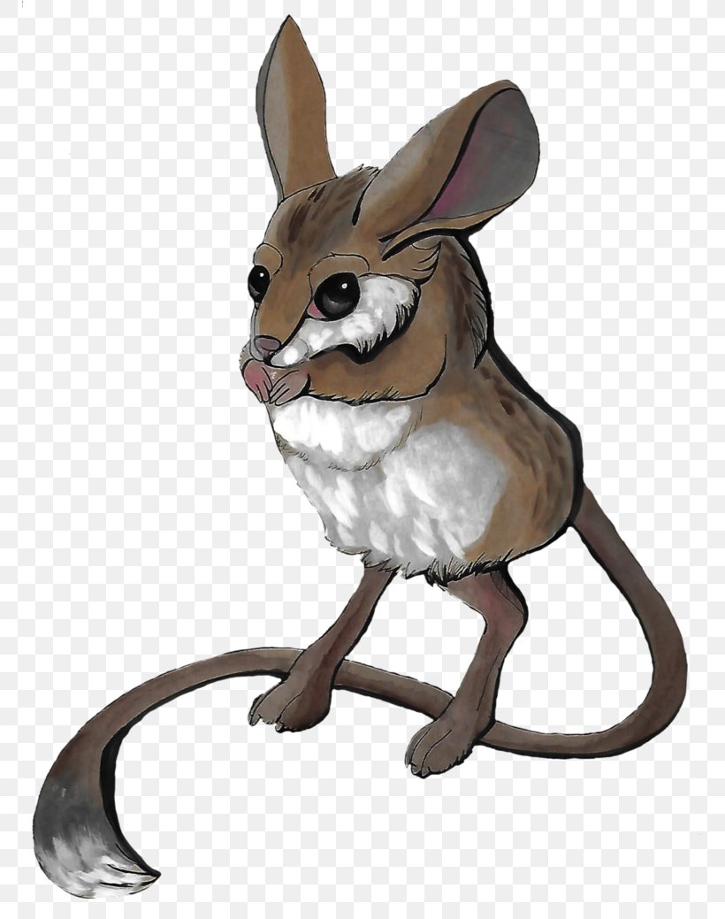 Domestic Rabbit Hare Macropodidae Red Fox Whiskers, PNG, 769x1039px, Domestic Rabbit, Cartoon, Fauna, Hare, Macropodidae Download Free