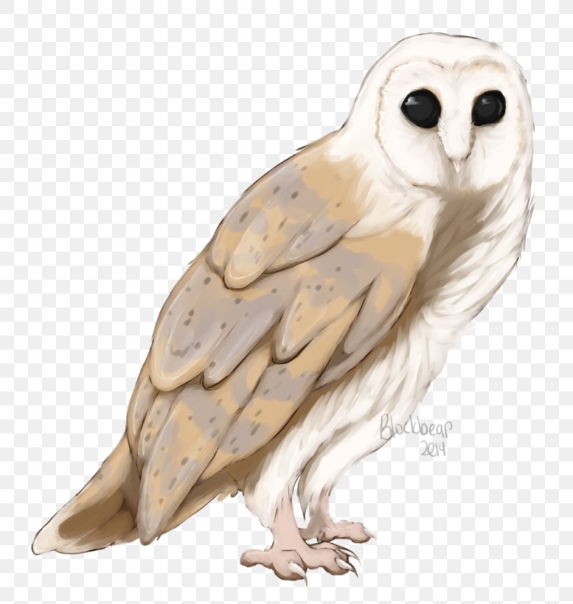 Owl Beak Feather Wing Animal, PNG, 1024x1080px, Owl, Animal, Beak, Bird, Bird Of Prey Download Free