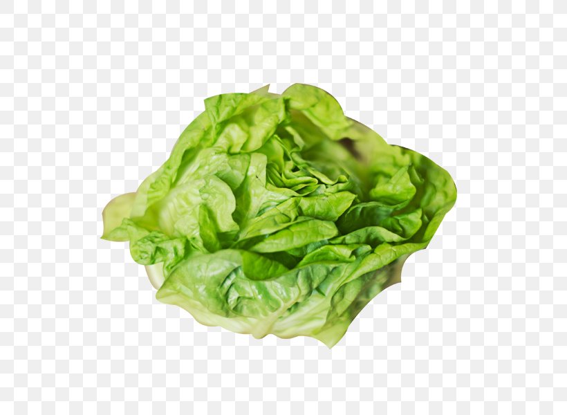 Smoothie Lettuce Soup Centers For Disease Control And Prevention, PNG, 600x600px, Smoothie, Cabbage, Chard, Eating, Food Download Free