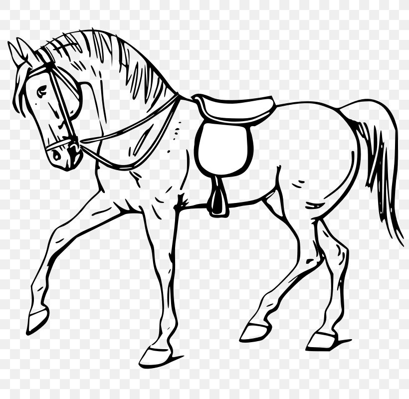 Tennessee Walking Horse Drawing Show Jumping Clip Art, PNG, 800x800px, Tennessee Walking Horse, Bit, Black And White, Bridle, Colt Download Free