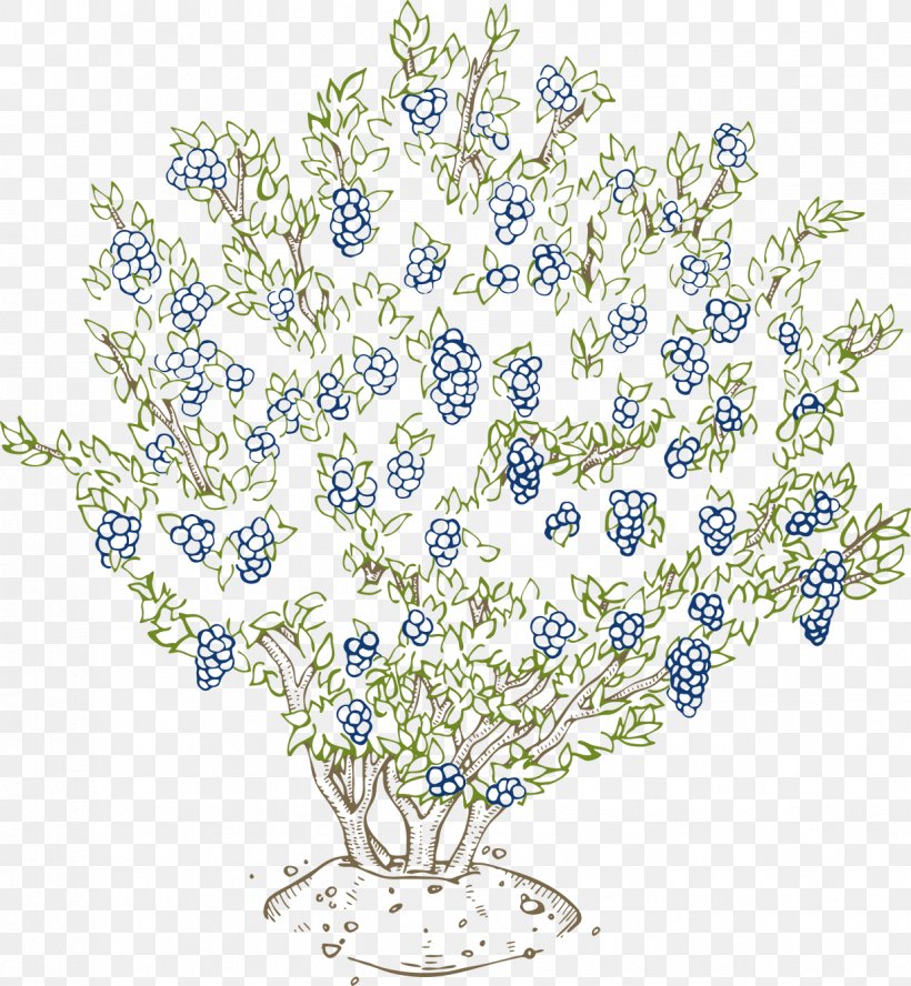 Blueberry Plant Vaccinium Corymbosum Shrub Bilberry, PNG, 1223x1325px, Blueberry, Berry, Bilberry, Blue, Body Jewelry Download Free