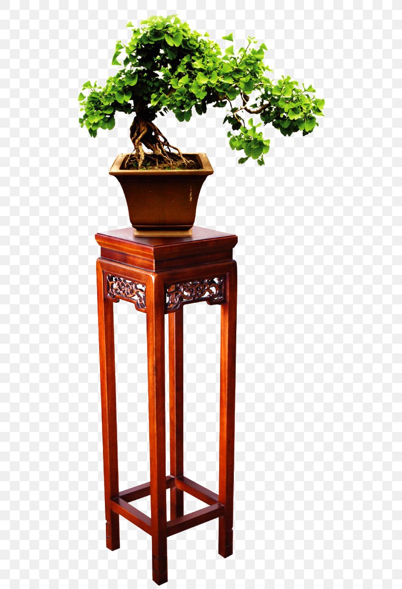 Bonsai Furniture Plant Google Images, PNG, 563x1200px, Bonsai, Designer, End Table, Flowerpot, Furniture Download Free