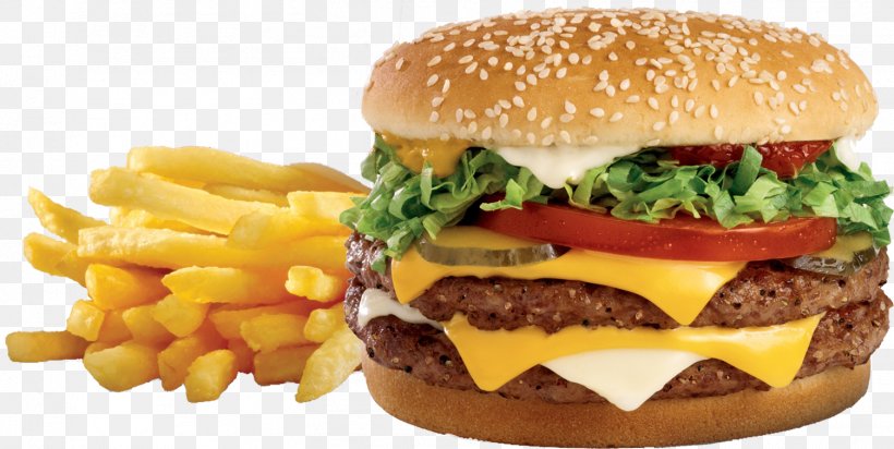 Hamburger Chicken Sandwich Veggie Burger French Fries Fizzy Drinks, PNG, 1504x757px, Hamburger, Aloo Tikki, American Food, Big Mac, Breakfast Sandwich Download Free