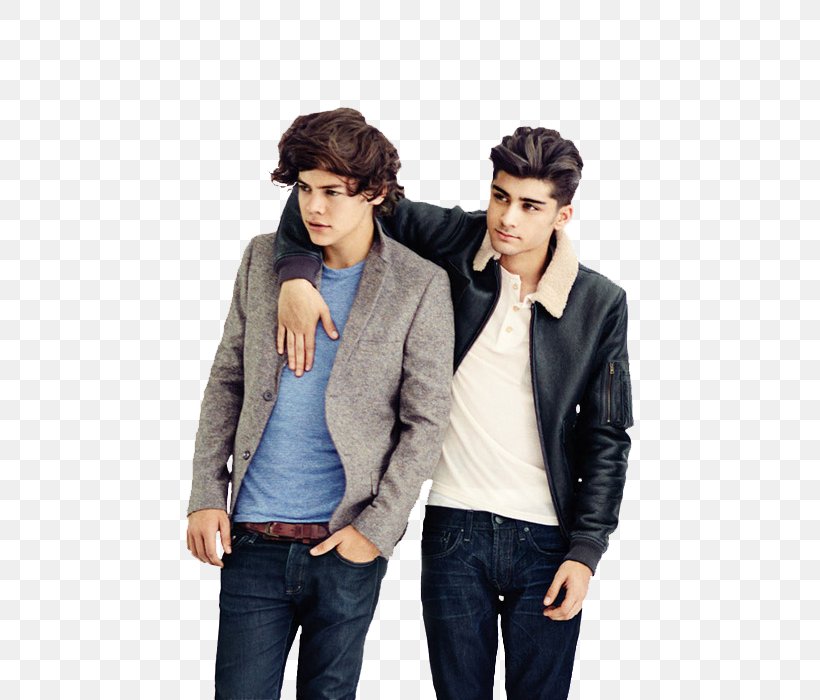 Harry Styles Zayn Malik One Direction: Forever Young The X Factor, PNG, 500x700px, Watercolor, Cartoon, Flower, Frame, Heart Download Free