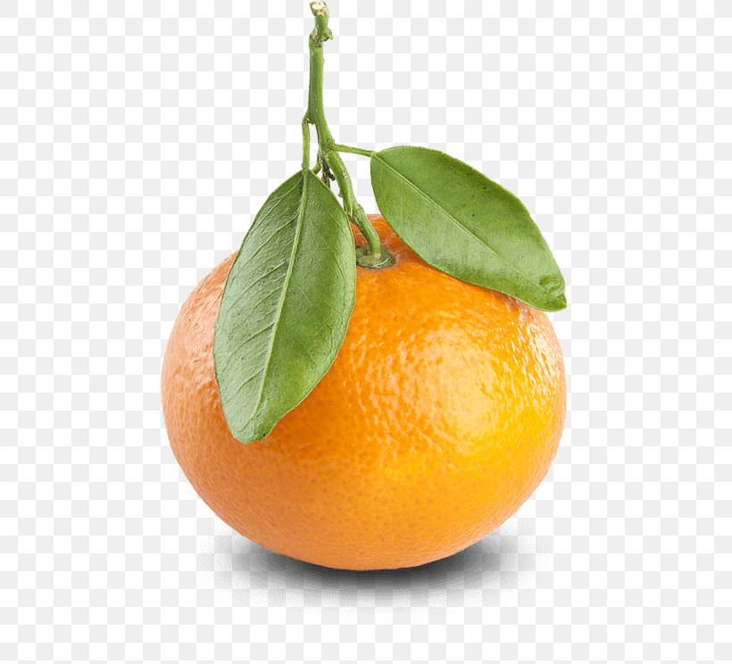 Mandarin Orange Tangerine Clementine Grapefruit, PNG, 744x744px, Mandarin Orange, Bitter Orange, Calamondin, Cave Of Acropolis, Chenpi Download Free