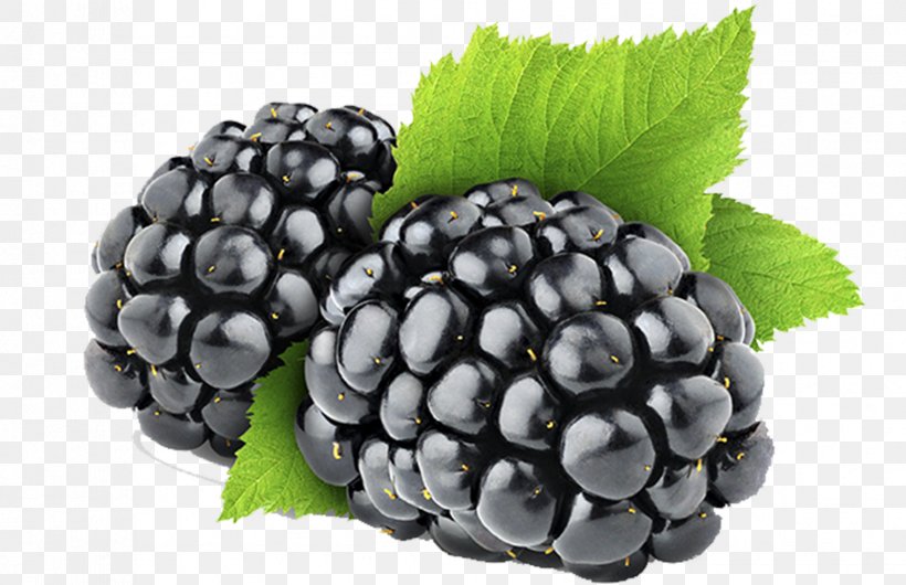 Organic Food Blackberry Berries Fruit Kissel, PNG, 1682x1089px, Organic Food, Berries, Berry, Bilberry, Blackberry Download Free