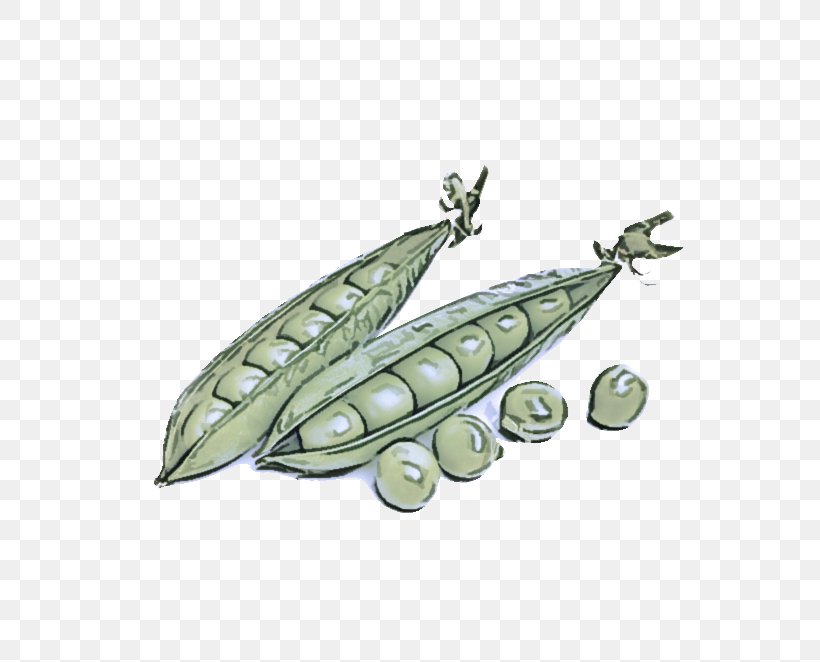 Pea Legume Leaf Plant Pendant, PNG, 662x662px, Pea, Brooch, Fruit, Jewellery, Leaf Download Free