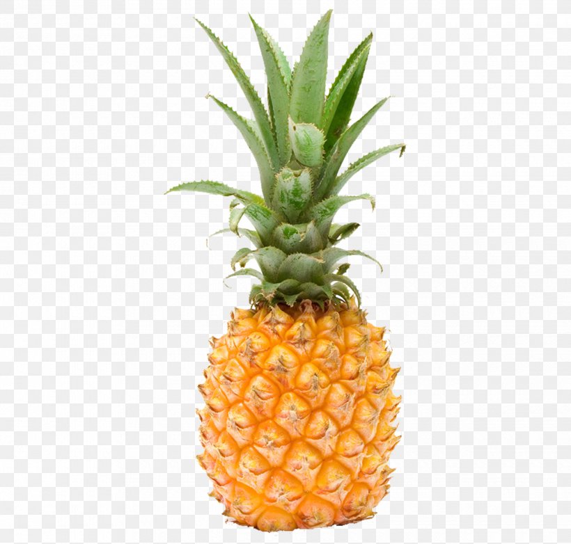 Pineapple Fruit Photography, PNG, 2480x2368px, Pineapple, Ananas, Bromeliaceae, Flowerpot, Food Download Free