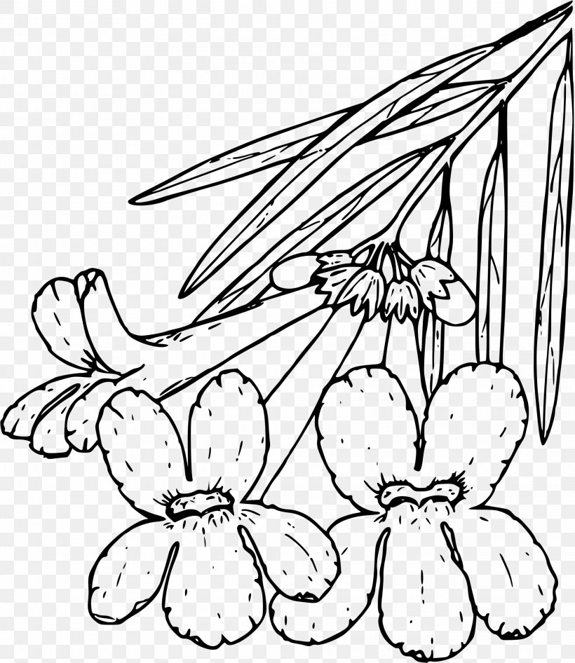 Plant Line Art Drawing, PNG, 2079x2400px, Plant, Black, Black And White, Botanical Illustration, Branch Download Free