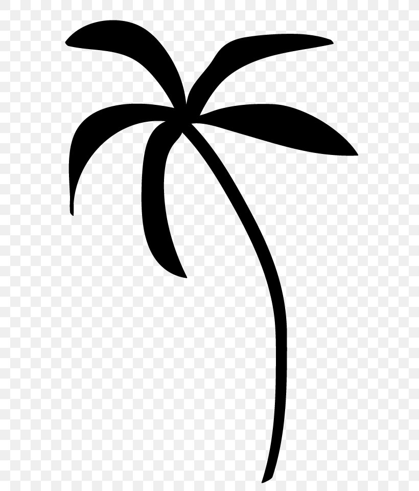 Arecaceae Tree Clip Art, PNG, 629x960px, Arecaceae, Area, Artwork, Black And White, Branch Download Free
