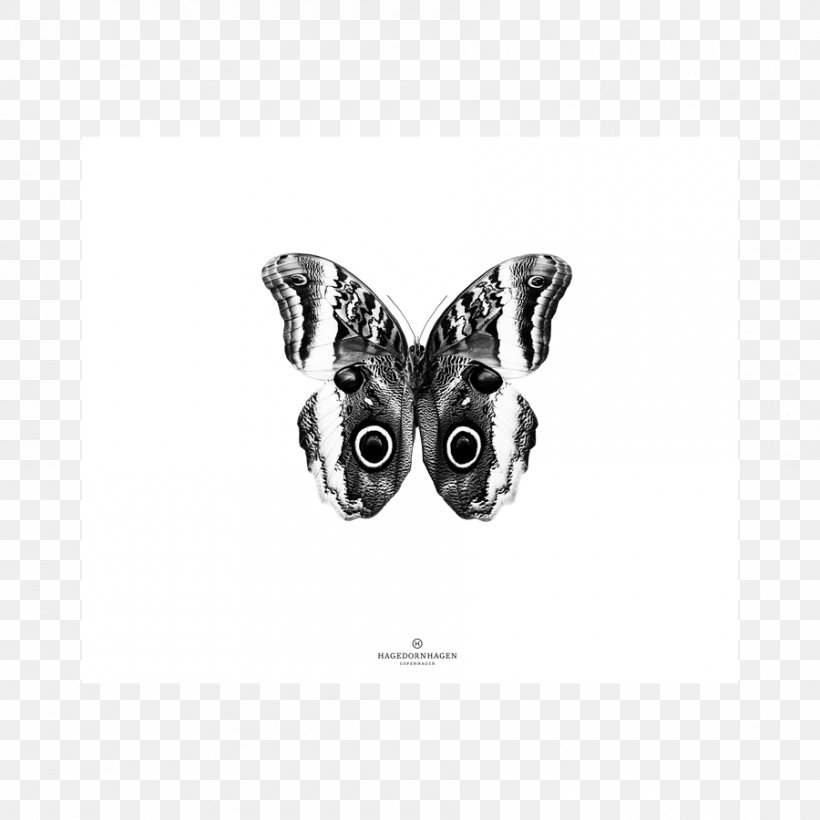 Borett Online Shopping Plastic Bag, PNG, 900x900px, Online Shopping, Bag, Black And White, Butterfly, Clothing Download Free