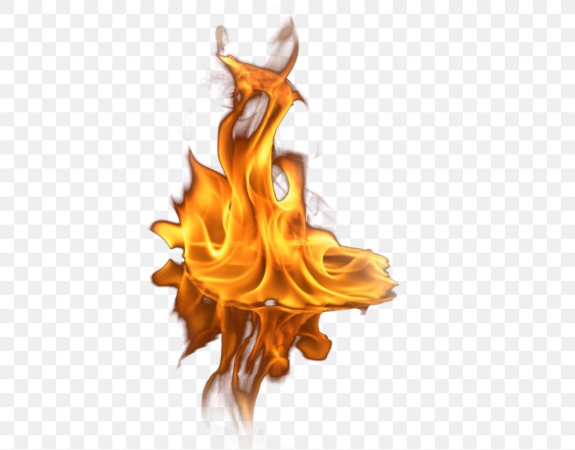 Flame Cartoon, PNG, 403x641px, Fire, Cool Flame, Flame, Liquid Download Free