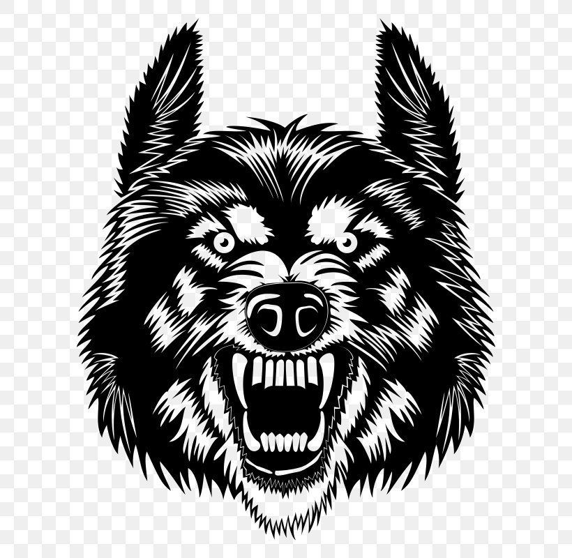 Gray Wolf Clip Art, PNG, 800x800px, Gray Wolf, Art, Black And White, Cairn Terrier, Carnivoran Download Free