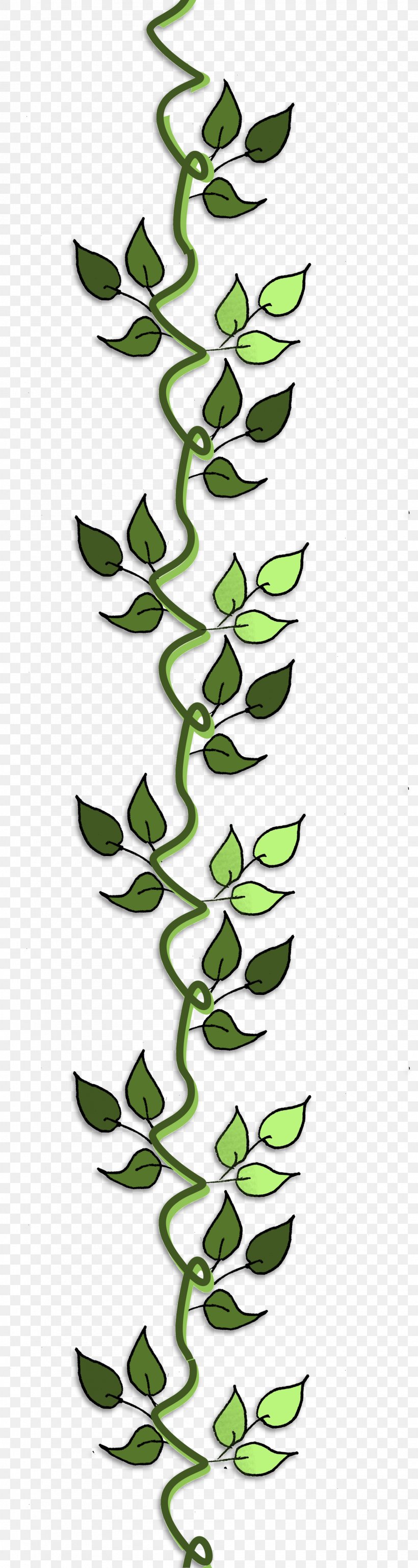 Leaf Plant Stem Line Clip Art, PNG, 1889x7086px, Leaf, Branch, Branching, Flora, Grass Download Free