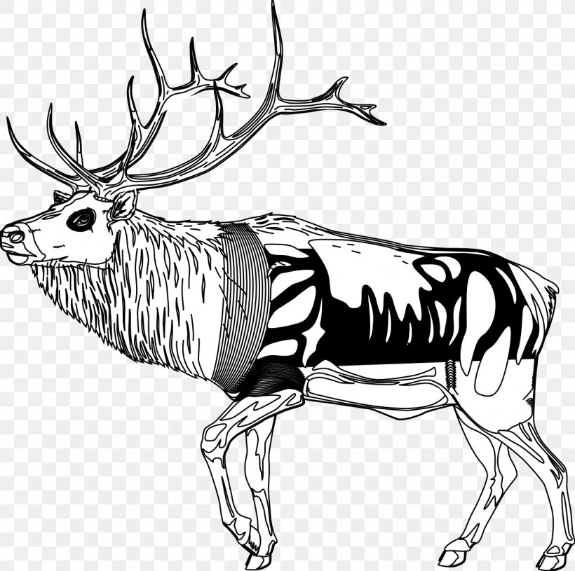 Reindeer Black And White Line Art Clip Art, PNG, 1331x1323px, Reindeer, Animal, Animal Figure, Antler, Artwork Download Free