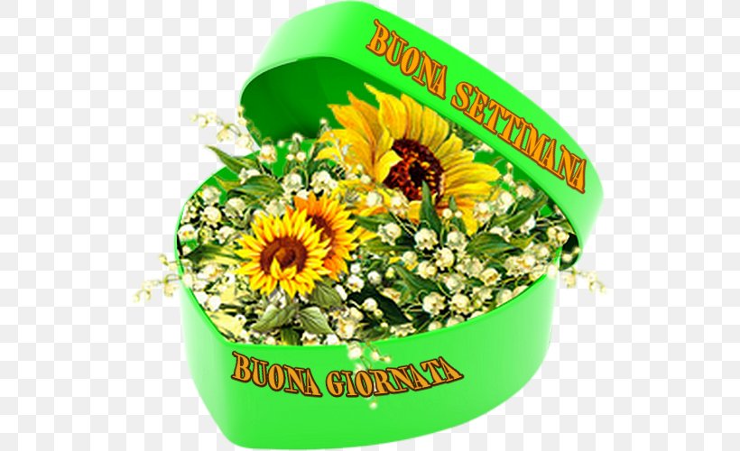 Greeting Smile Week Heart Friendship, PNG, 532x500px, Greeting, Cut Flowers, Floristry, Flower, Flowering Plant Download Free