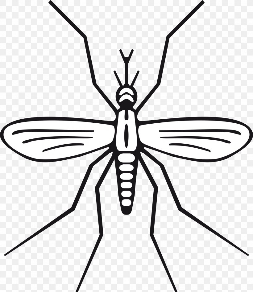 Mosquito Insect Black And White Clip Art, PNG, 2020x2334px, Mosquito, Artwork, Black And White, Brush Footed Butterfly, Cartoon Download Free