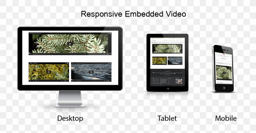 Responsive Web Design DotNetNuke Display Advertising Multimedia, PNG, 1024x534px, Responsive Web Design, Advertising, Boxedcom, Brand, Communication Download Free